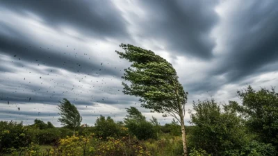 Similes for Windy Weather