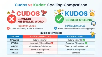 Cudos or Kudos